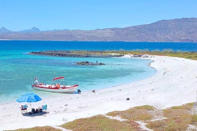Best Tour to Coronados Island - Key Things I’d Highlight Before You Go