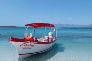 Best Tour to Coronados Island - The Boat Ride: Sea of Cortez Wildlife You Can Watch Without Hurrying
