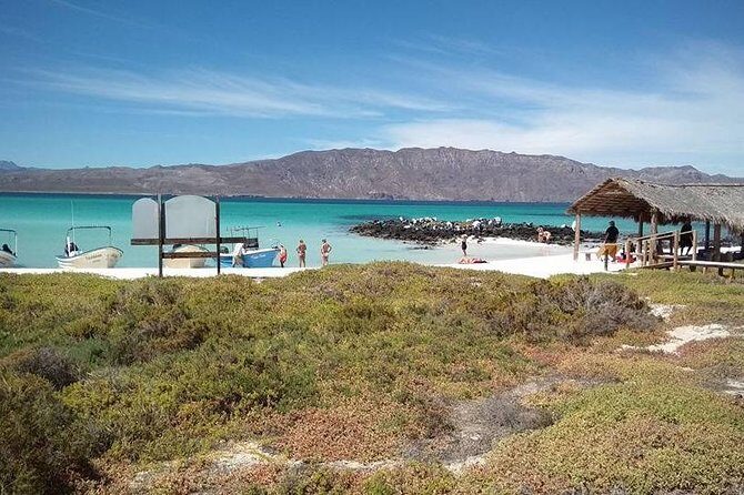 Best Tour to Coronados Island - Snorkeling: What You’ll Get (and the One Caution I’d Respect)