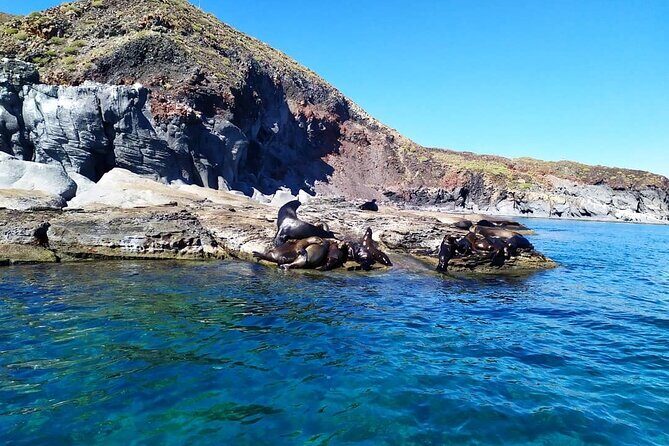 Best Tour to Coronados Island - Value Check: Does $122.20 Really Make Sense?