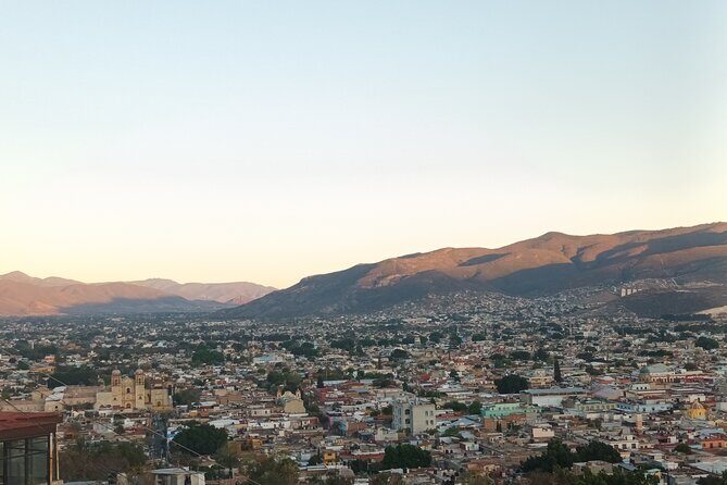 Bicycle Tour through Oaxaca learning about its Urban Art and History - Santo Domingo de Guzmán: baroque church beauty plus modern cultural spaces