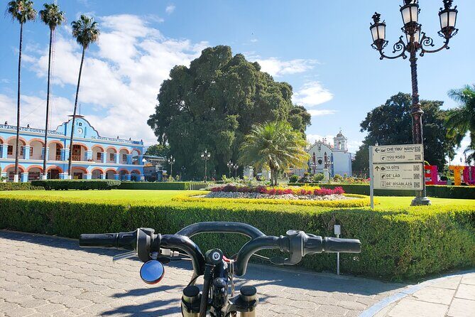 Bike Ride to the Largest Tree in the World - Key highlights you’ll care about