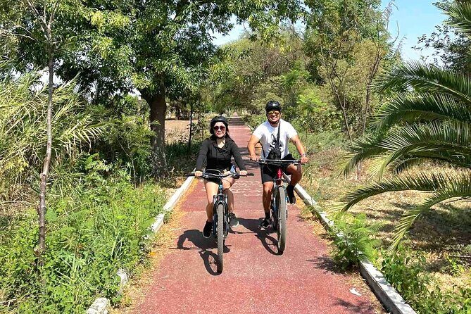 Bike Ride to the Largest Tree in the World - Stop 2 (Santa María del Tule): El Árbol del Tule and the gardens