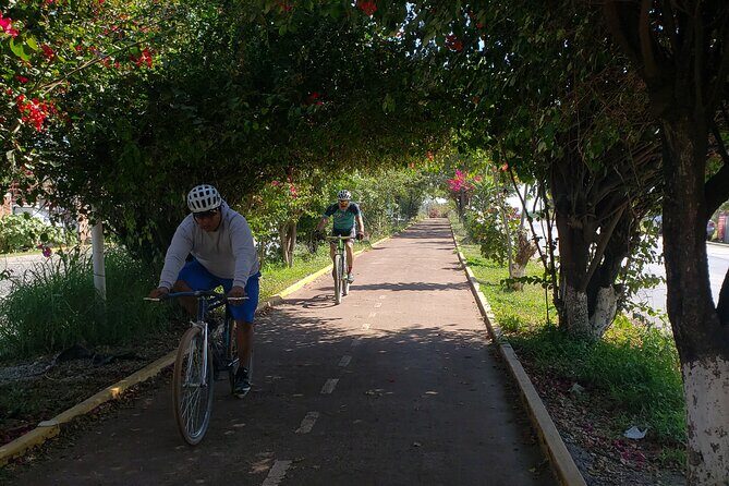 Bike Ride to the Largest Tree in the World - Stop 3 (Palacio Municipal De Santa Maria Del Tule): square, markets, and breathing room