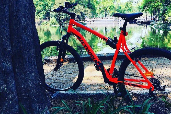 Bike Tour in Mexico City - Why Chapultepec Forest by Bike Works So Well