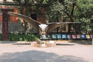 Bike tour in the Chapultepec Forest and Roma Condesa - Colonia Roma on bike lanes: fountains, squares, and a calmer rhythm
