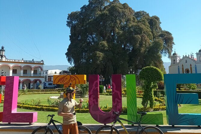 Bike tour to the Tule Tree and the Gastronomic Market - Key things to know before you go