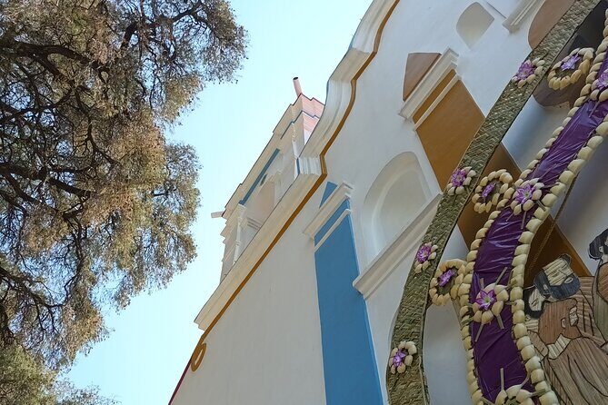 Bike tour to the Tule Tree and the Gastronomic Market - Daniel’s Tour Style: Safety, Energy, and Explanations That Stick