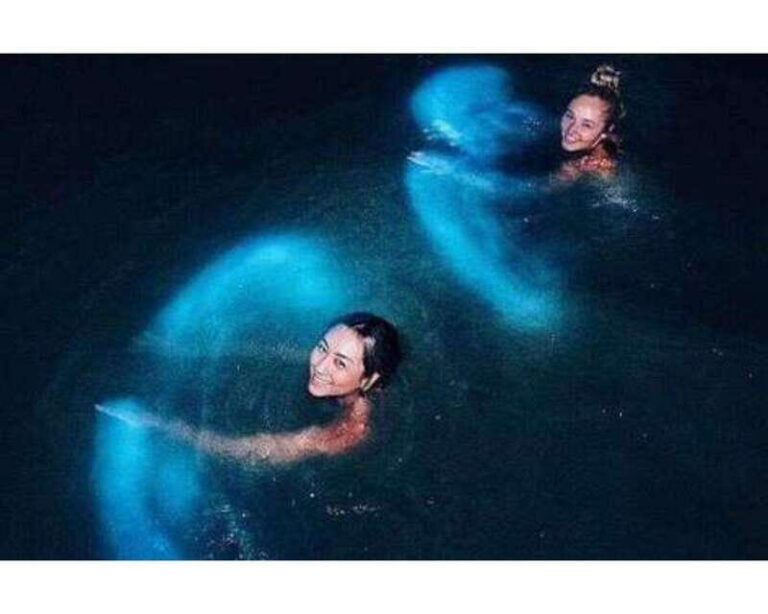 BIOLUMINESCENCE IN PUERTO ESCONDIDO - From El Zapotal to the Glow: The Boat Segment That Powers the Magic