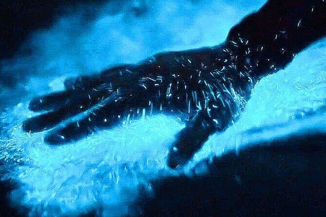 Bioluminescence & sunset local boat tour to Los Arcos Sanctuary - Quick hits before you go