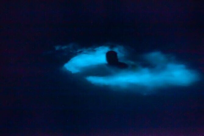 Bioluminescence & sunset local boat tour to Los Arcos Sanctuary - Sunset or sunrise over the bay: the photo window before it turns dark