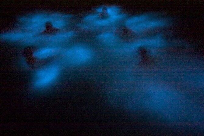 Bioluminescence & sunset local boat tour to Los Arcos Sanctuary - Swim time, gear, and what to expect in the dark