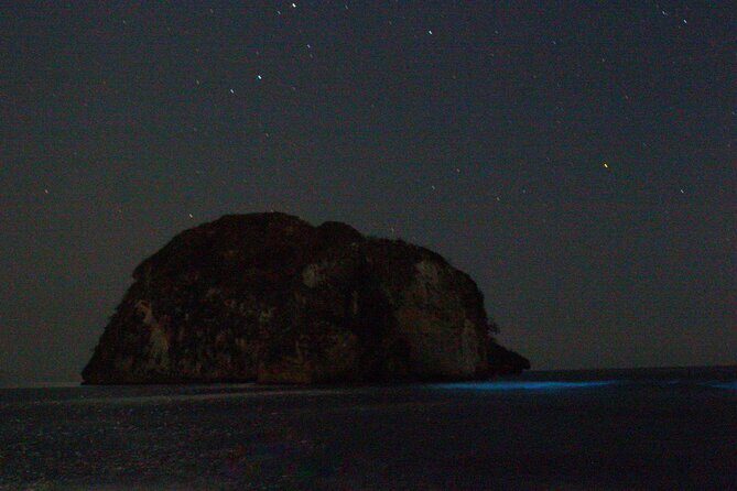 Bioluminescence & sunset local boat tour to Los Arcos Sanctuary - Wildlife bonuses: whales, sea turtles, and seabirds in the same trip