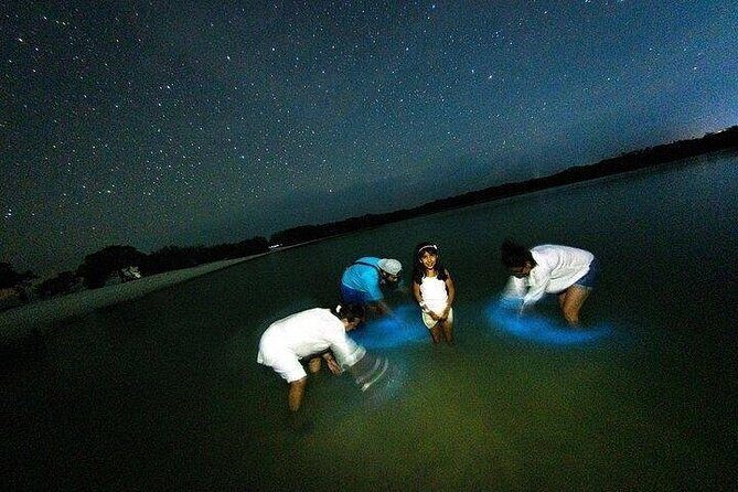Bioluminescence Tour by Car at Holbox - Key things to know before you go