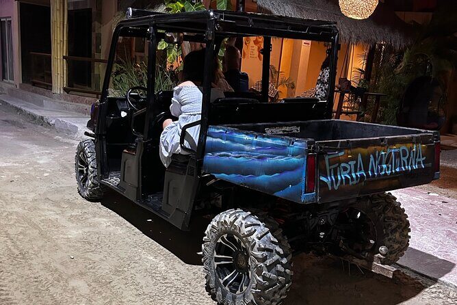 Bioluminescence Tour by Car at Holbox - Price and value: What $34.63 buys you in Holbox
