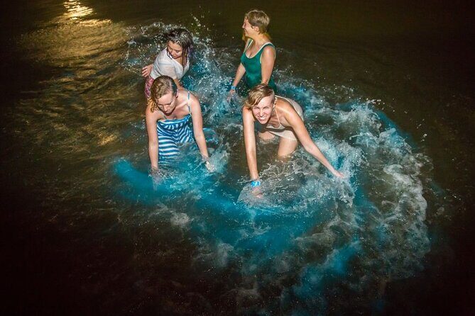 Bioluminescence Tour by Car at Holbox - Wading Through the Glow: What the Plankton Lighting Feels Like