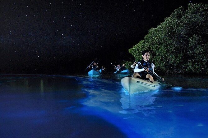 Bioluminescence Tour in Kayak in Holbox Island - Punta Mosquito at night: why this route works