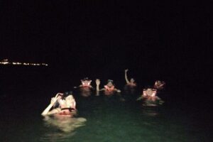 Bioluminescence Tour in Kayak in Holbox Island - Price and what you’re paying for ($50.78)