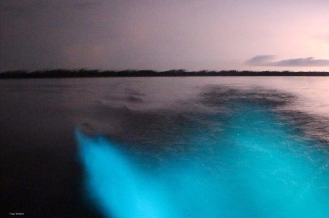 Bioluminescent Night Tour - Where the Night Tour Happens: Lagunas de Chacahua and Manialtepec Lagoon