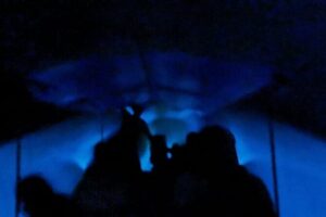 Bioluminescent Night Tour - The 3.5-Hour Flow: Pickup, Lagoon Time, and a Warm Swim