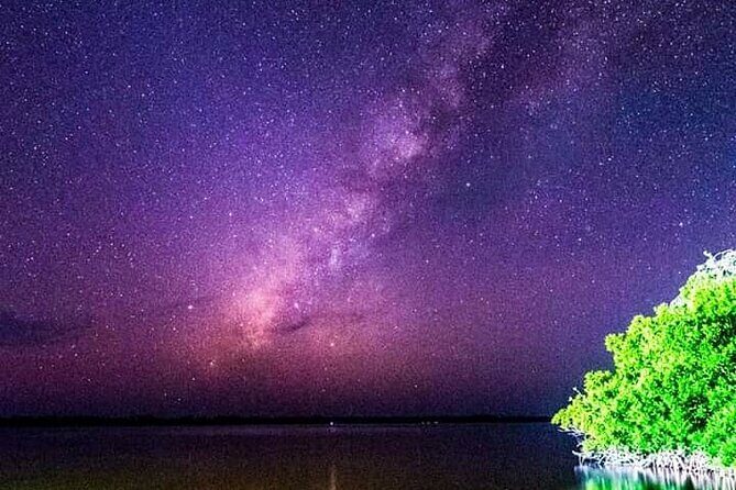 Bioluminescent Night Tour - Guides Matter: Mario, Johnny, Ramsey, and the Difference Between Okay and Great
