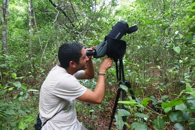 Bird Watching in Sian Ka´an Muyil - The 6:00 AM Plan: How the 5 Hours Work