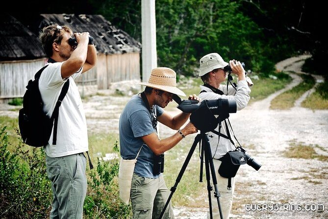 Bird Watching in Sian Ka´an Muyil - Price and Logistics: What $119 Really Covers