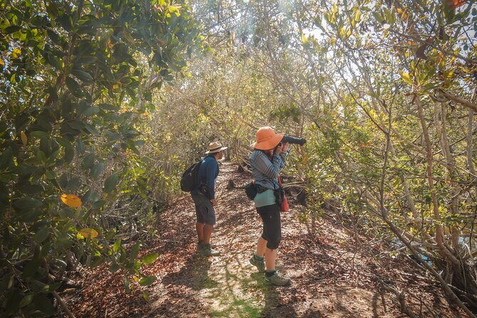 Bird Watching Mazatlán - Birding Tour - Key highlights at a glance