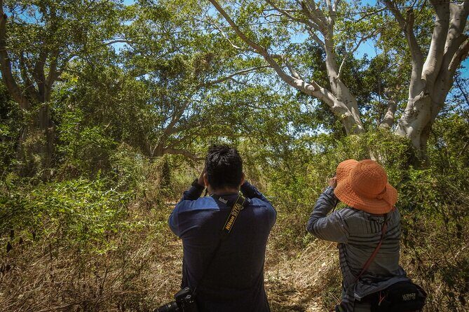 Bird Watching Mazatlán - Birding Tour - Transportation and timing: how the day is likely to feel