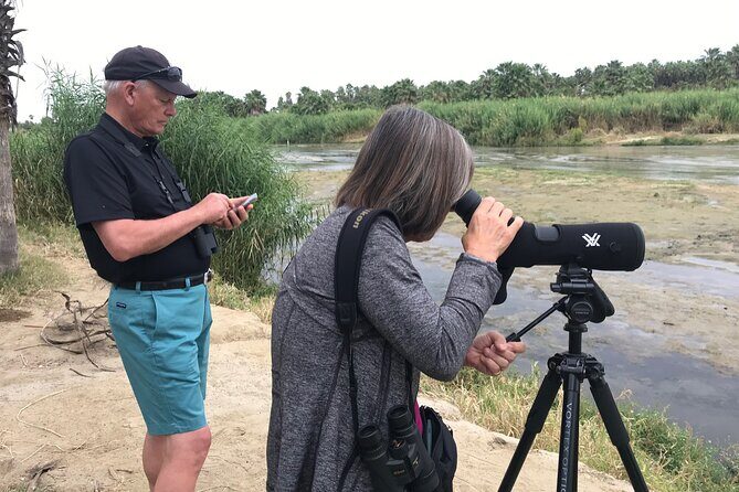 Birding San Jose Estuary Los Cabos Mexico - Key Birding Details at a Glance
