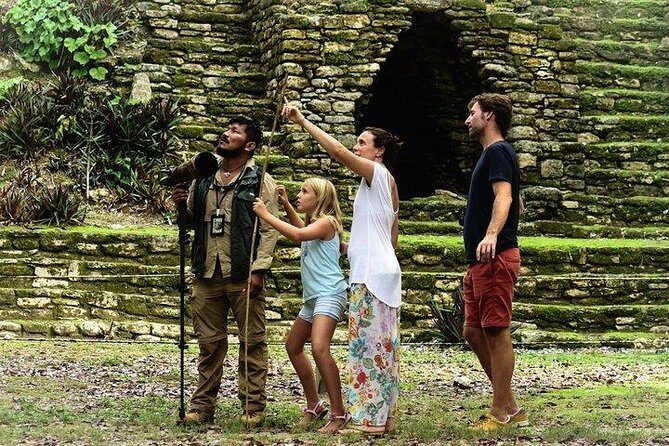 Birdwatching at The Mayan Cities with certified guide - Timing: how to make 4–5 hours feel like a win