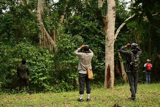Birdwatching in Coba from Tulum - Shared Group Tour - Stop 1: Tulum Warm-Up on Avenida Tulum (15 Minutes)
