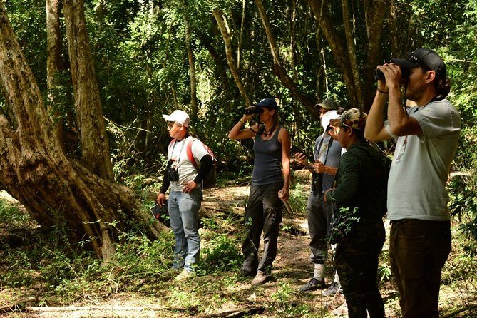 Birdwatching in Coba from Tulum - Shared Group Tour - Bring Binoculars: The Small Gear Detail That Changes Everything