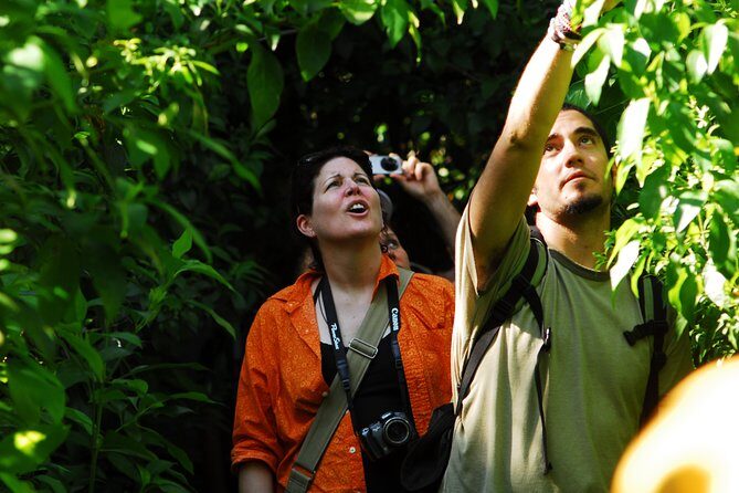 Birdwatching in Sian Ka´an Muyil from Tulum - Shared Group Tour - Stop 3 Option: Chunyaxché Boat, Lagoons, Canals, and a Lazy Float