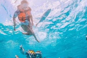Boat and Snorkel Tour to 5 Islands of Los Arcos - The Meeting Point: Where You Start and Why It Matters