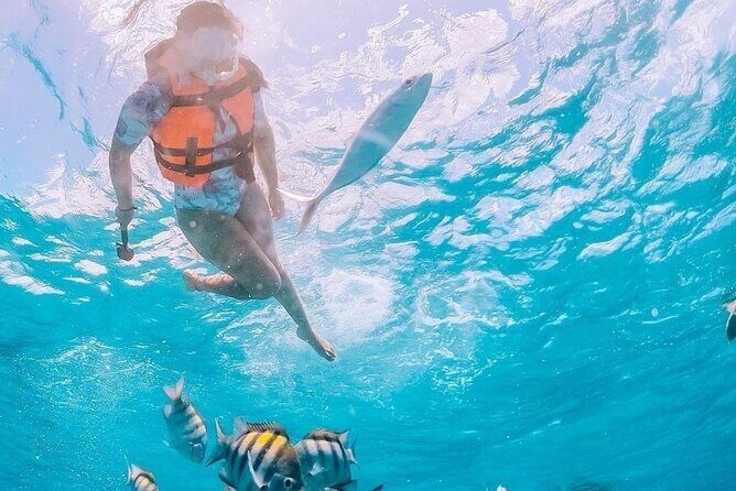 Boat and Snorkel Tour to 5 Islands of Los Arcos - The Meeting Point: Where You Start and Why It Matters