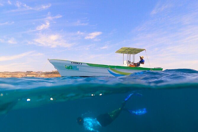 Boat ride to the Arch and Snorkel - After your swim: snacks, cold drinks, and fresh guacamole on board