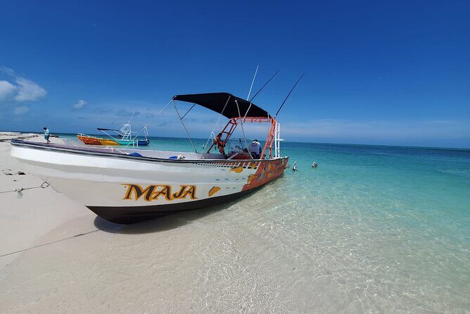 Boat Tour of Three Islands in Holbox with Transportation - Price and value: what $41.76 buys you in Holbox time