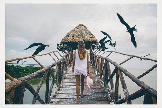 Boat Tour of Three Islands in Holbox with Transportation - Yalahau Lagoon (Ojo de Agua): why this stop feels different