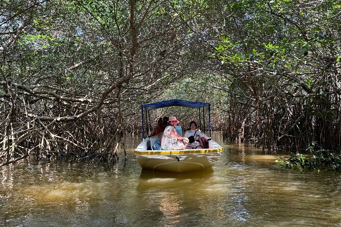 Boat tour through the mangroves of Celestún and Playa from Merida - Key points I’d bet on before you go