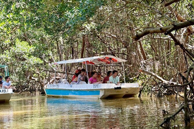 Boat tour through the mangroves of Celestún and Playa from Merida - Timing, group size, and why the pacing feels manageable