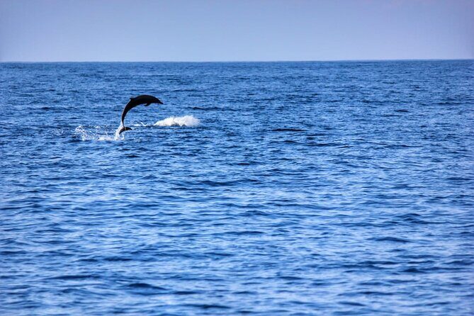Boat Trip to See Marine Life in Puerto Escondido - Snorkeling Gear and the Stuff You Actually Need