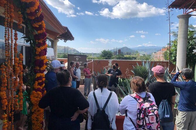 Boil the Water and Distillery of Mezcal Tour - The guide experience: fun, clear, and actually helpful