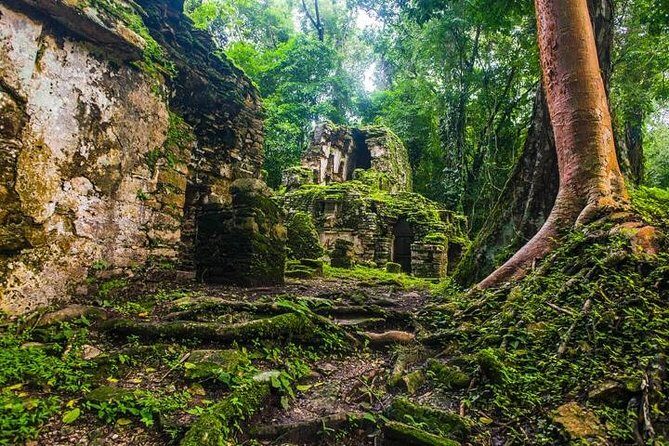 Bonampak & Yaxchilan: Hidden Maya Ruins in the Chiapas Jungle - Food on the Road: Included Meals That Keep the Day Moving