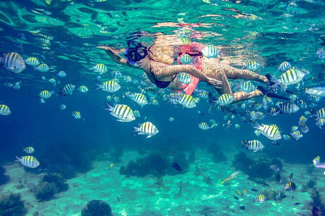 Breathtaking experience driving a speedboat in Cancun with Snorkeling included - Why this Cancun speedboat feels different: you’re the driver