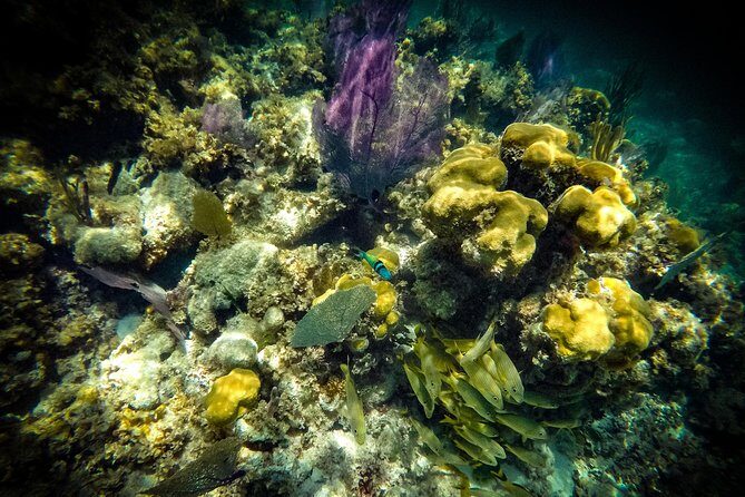 Breathtaking experience driving a speedboat in Cancun with Snorkeling included - Weather and cancellations: the one variable you can’t fight