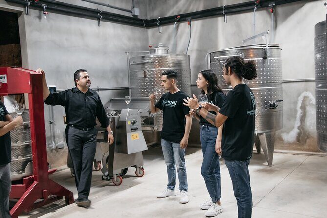 Bus Wine Tour by Ansell Tours - Five stops, one smooth flow: what each venue brings