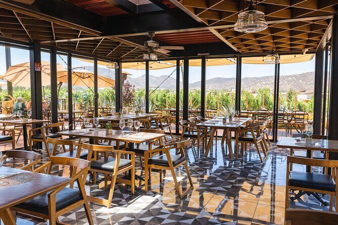 Bus Wine Tour by Ansell Tours - When you might choose something else