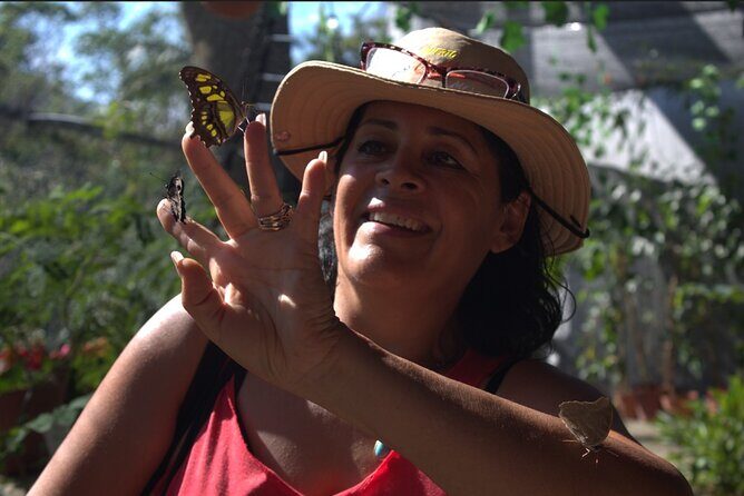Butterflies, City tour, tequila, and beach (kids free) - What to Know Before You Go