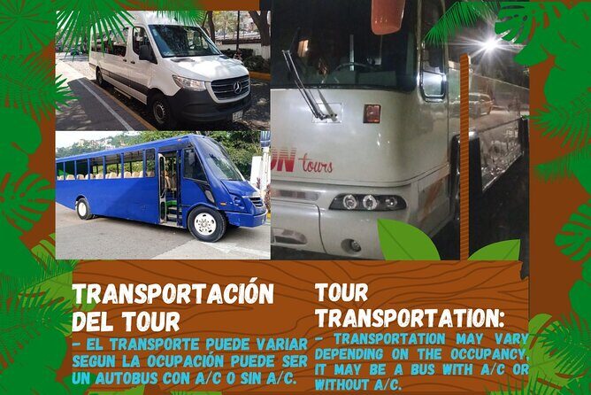 Butterflies, City tour, tequila, and beach (kids free) - A Half-Day Mix of Malecon Views, Butterflies, Tequila, and Playa Mismaloya